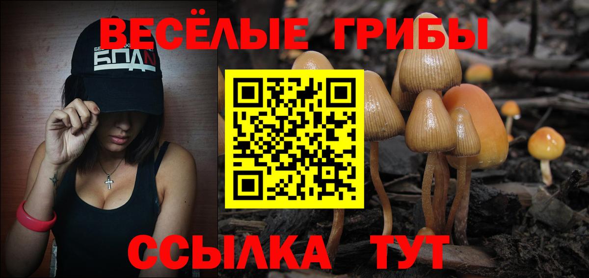 Советск  купить наркотики сайты  Вход с VPN  Псилоцибиновые грибы ЛСД 